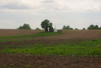 Cmentarz w Ostrówkach