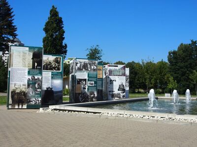 foto Marzena Kumosińska