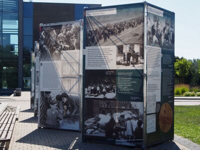 foto Marzena Kumosińska