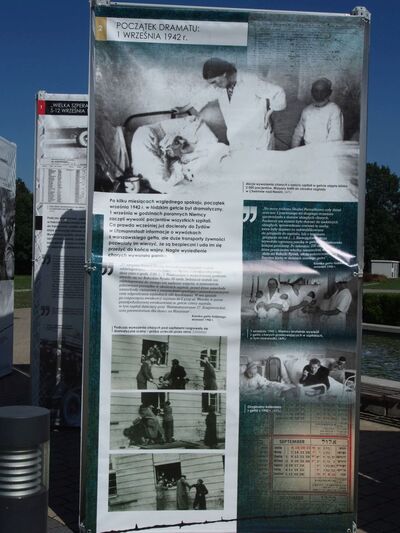 foto Marzena Kumosińska