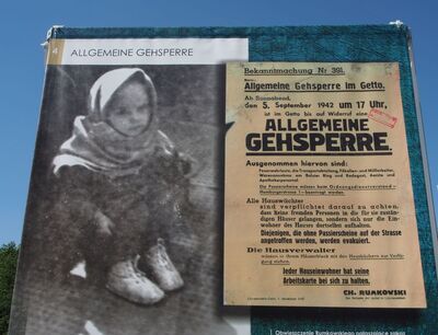 foto Marzena Kumosińska