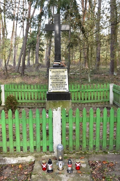 Uczniowie ze Szkoły Podstawowej w Starych Oborzyskach. Fot. Barbara Zaborska
