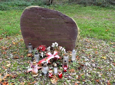 Uczniowie ze Szkoły Podstawowej w Starych Oborzyskach. Fot. Barbara Zaborska