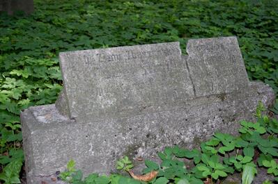 „Z ziemi zbąszyńskiej spoczywa ochotnik W.W. poległ w walkach o wolność Ojczyzny mając lat 17.” – Grób symboliczny Józefa Maika, poległego 15 lutego 1919 r., Cmentarz Garnizonowy w Poznaniu