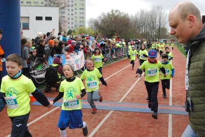 Fot. Piotr Orzechowski