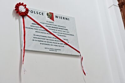 Fot. M. Manowski/IPN