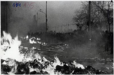 Palenie rzeczy wyrzuconych z siedziby KW PZPR – m.in. dokumentów, książek, mebli oraz maszyn do pisania. (IPN Sz 0012/323 t. 2)