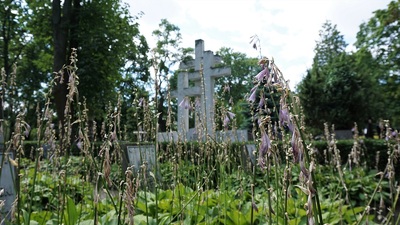 Wakacyjny spacer z historią. Cmentarz Wojskowy na Powązkach – „Tajemnice nekropolii”. Kwatera powstańców styczniowych – Warszawa, 14 lipca 2019